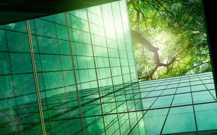 Environment focused image